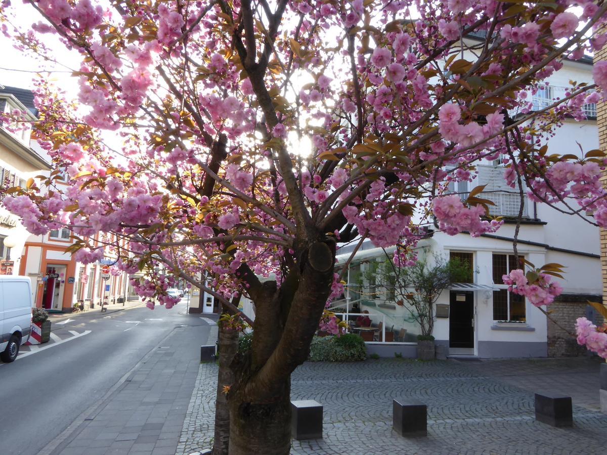 Storyhotel Bergischer Hof Königswinter Eksteriør billede